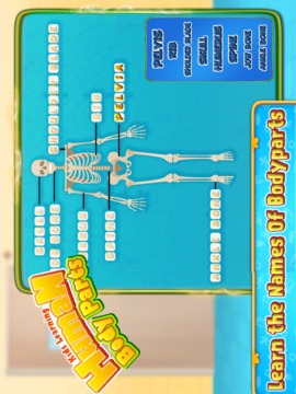 Kids Human Body Parts: Learning Game游戏截图1