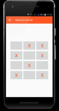 Memory Recall游戏截图2