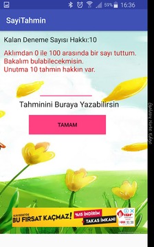 Sayı Tahmin Oyunu游戏截图3