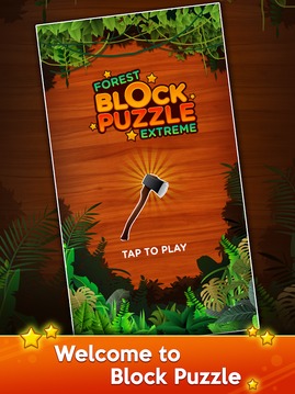 Forest Block Puzzle Extreme游戏截图5