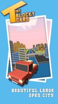 Tiny Blocky Cars游戏截图3
