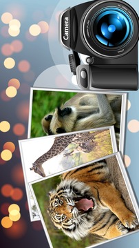 Wild Safari Quick Snapshot 3D游戏截图3