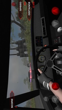 Extreme Roads游戏截图3