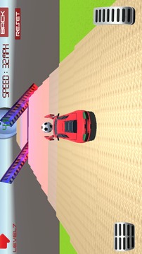 Racing Car Soccer LITE游戏截图1