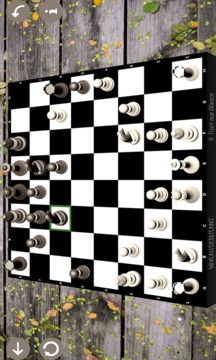 Echecs pro游戏截图5