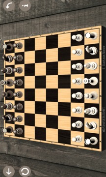 Echecs pro游戏截图3