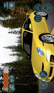 Race 911 GT3 Simulator游戏截图5