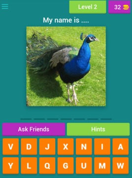 Bird Quiz游戏截图2