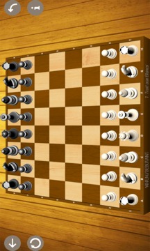 Echecs pro游戏截图1