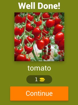 Vegetable Quiz Game 2018游戏截图5