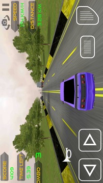 Extreme Traffic Car Driver游戏截图1