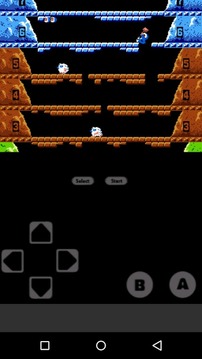 Ice Climber CLASSIC Nes游戏截图4