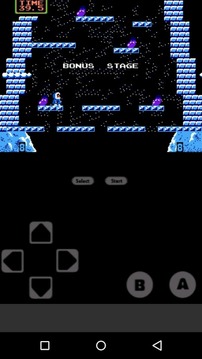 Ice Climber CLASSIC Nes游戏截图3