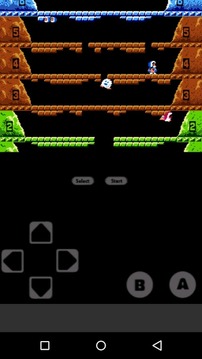 Ice Climber CLASSIC Nes游戏截图5