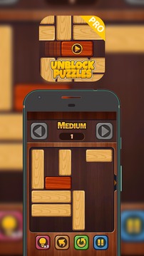 Unblock Puzzle Pro 2018游戏截图3