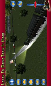 Crazy Train Mania: Real Train Drive Simulation游戏截图2