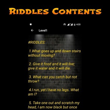 Pocket Riddles游戏截图2