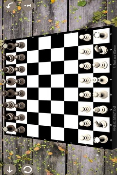 chess new 2018游戏截图2