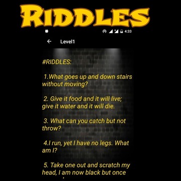 Pocket Riddles游戏截图1