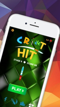 Best Cricket Hit游戏截图3