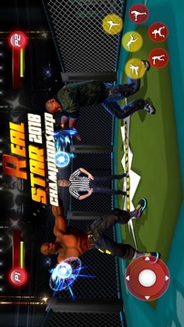 Real Star Boxing Punch : 3D Wrestling Championship游戏截图2