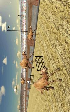 骆驼种族迪拜骆驼模拟器游戏截图5