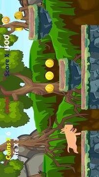 Cute Dog Escape Game游戏截图1