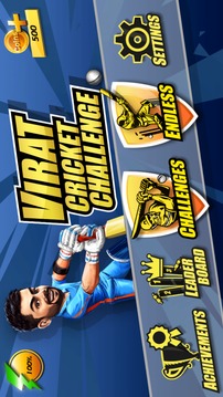 Virat Cricket游戏截图2