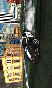 Police Car Drift Driving Simulator游戏截图2