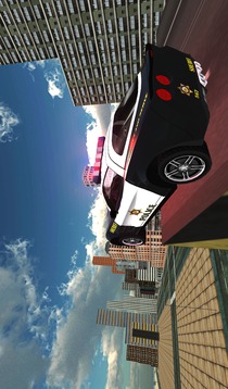 Police Car Drift Driving Simulator游戏截图3