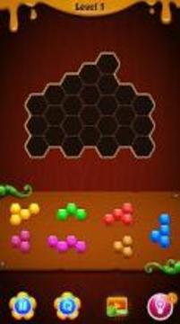 Hexa Puzzle Deluxe - Addictive Puzzle Games游戏截图3