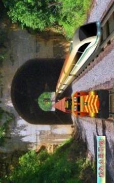真实 火车 模拟器 自由 3D游戏截图3