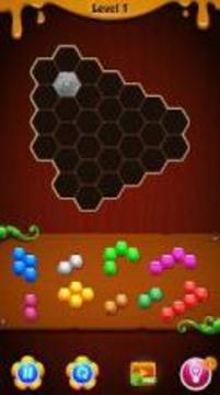 Hexa Puzzle Deluxe - Addictive Puzzle Games游戏截图2