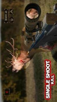 Wild Safari Hunter: Hunting & Shooting 3D游戏截图1