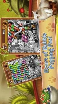 Bubble Pop Mania - Kitty Cat Kingdom游戏截图4