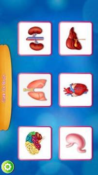 Basic Learning Skill Kids Body Parts游戏截图2