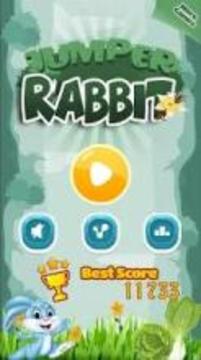 Rabbit Dom游戏截图3