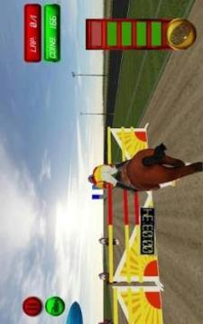 3D Horse Racing 2018游戏截图2