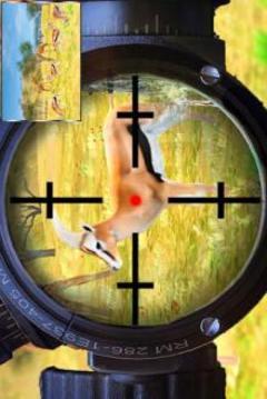 野生动物猎人：狙击手射手游戏截图1