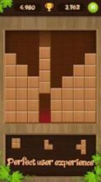 Wooden Block Puzzle 2018游戏截图1