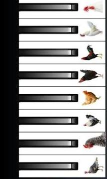 SHEEP CAT BIRD PIANO游戏截图1