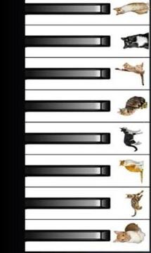 SHEEP CAT BIRD PIANO游戏截图3