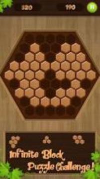 Wooden Block Puzzle 2018游戏截图2