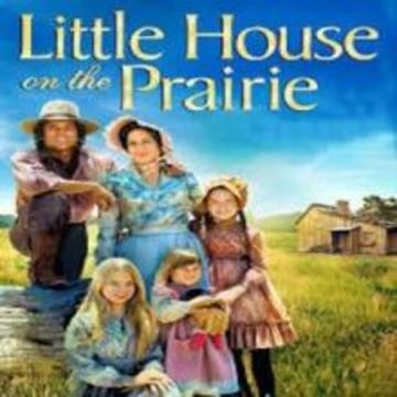 Little House on the Prairie Quiz游戏截图2