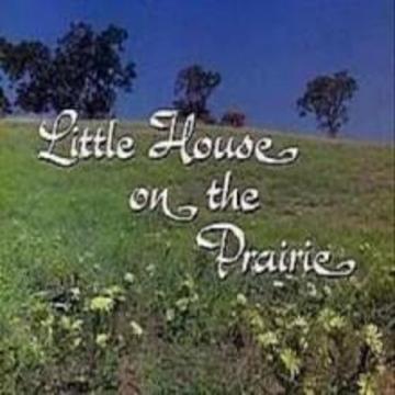 Little House on the Prairie Quiz游戏截图1
