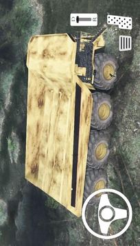 Mega Dum Truck Simulator Cargo游戏截图4