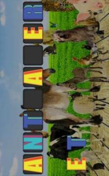 Words Games Animal Series For Kids游戏截图2