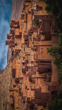 Tile Puzzles · Africa游戏截图1