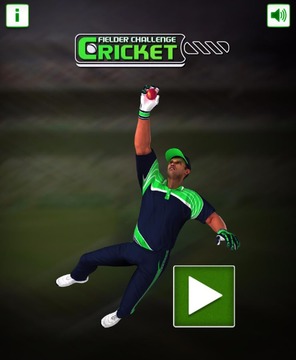 Cricket Fielder Challenge游戏截图3