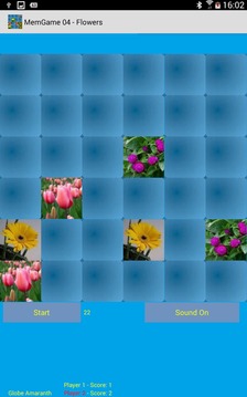 MemGame 04 - Flowers游戏截图1